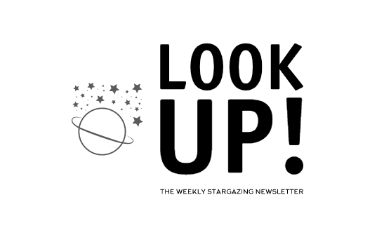 Newsletter logo